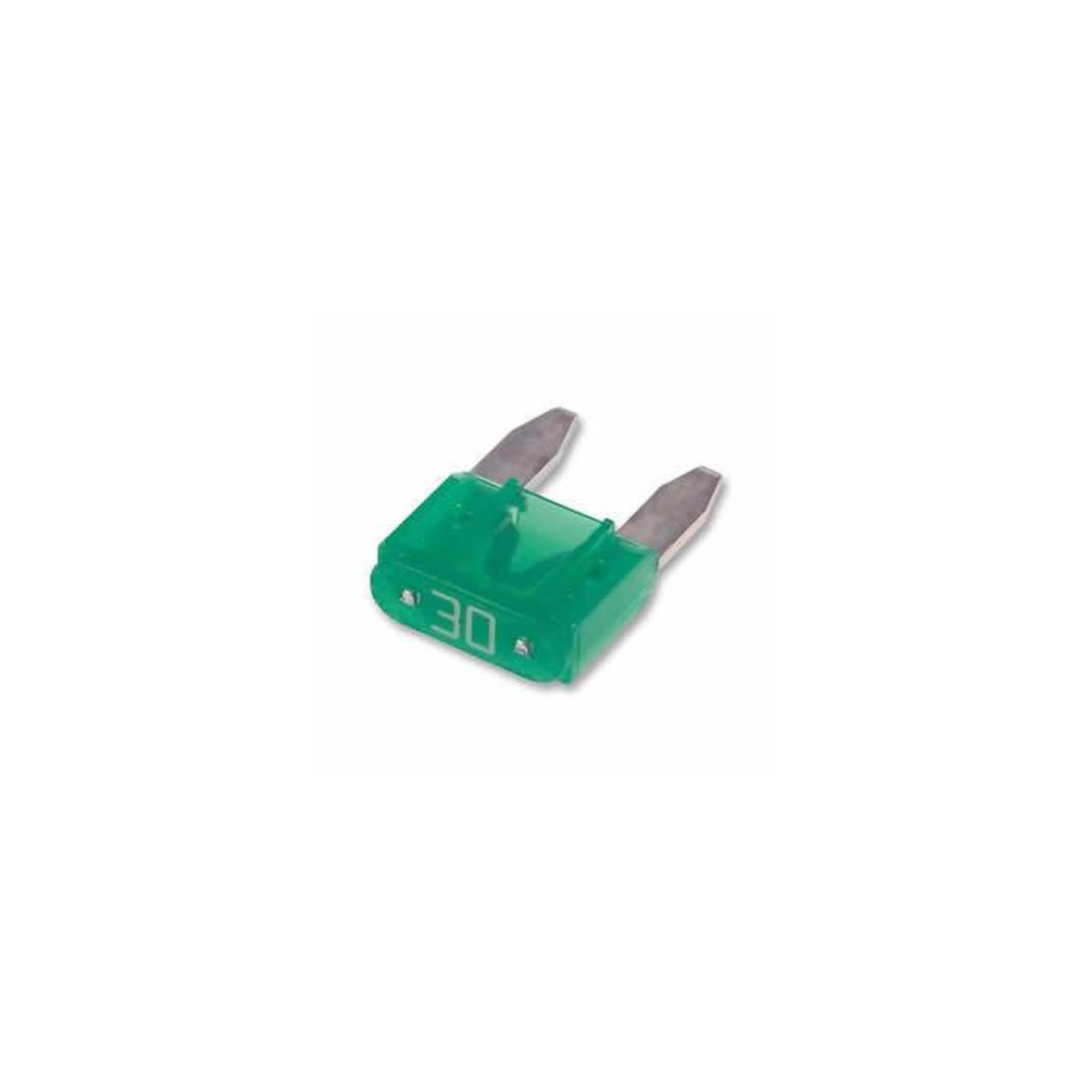 30 Amp Mini Blade Fuse