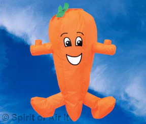 Spirit of Air Carrot Windsock