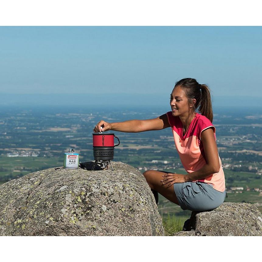 Coleman Fyrestorm PCS Gas Stove - Image 7