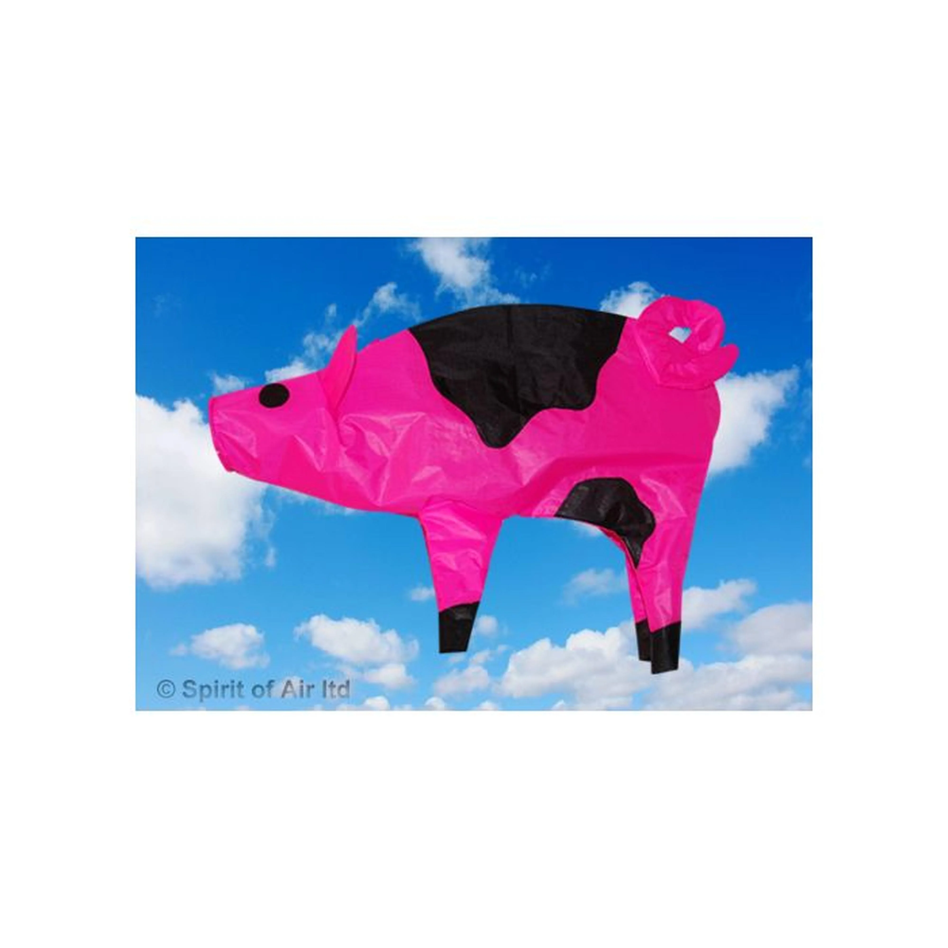 Spirit of Air Pig Windsock