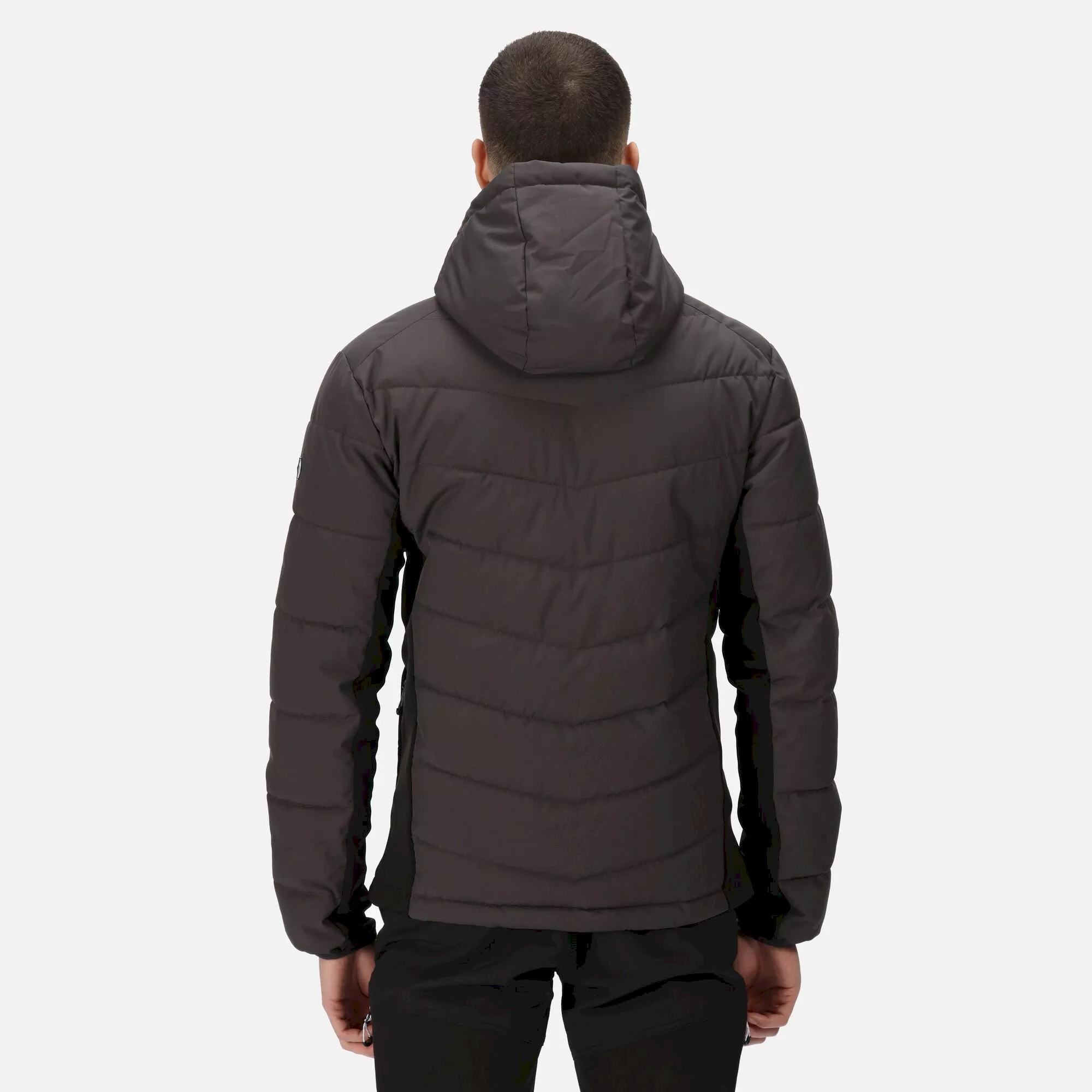 Regatta Men's Cranmore Padded Jacket | Ash - Image 3
