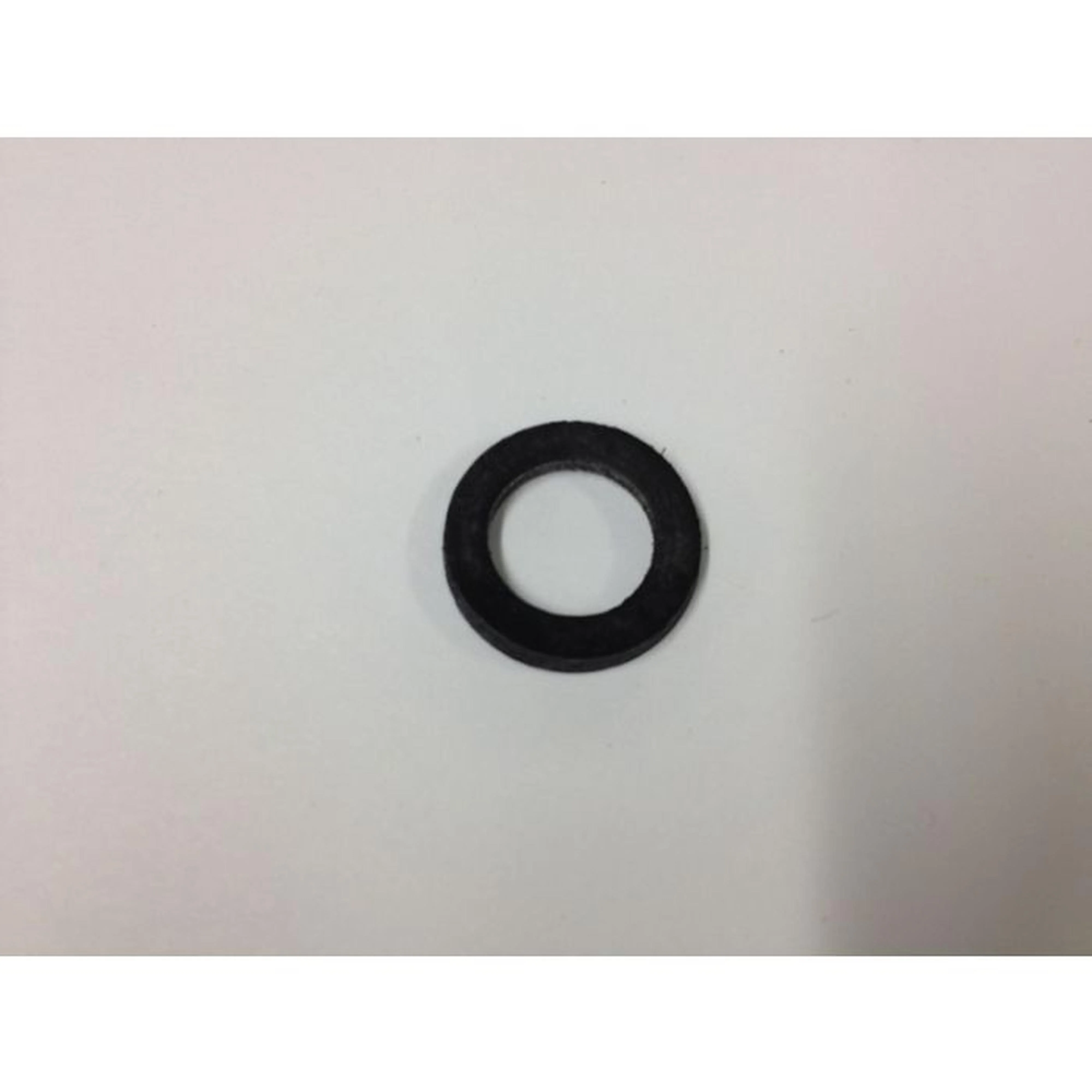 Regulator Washer