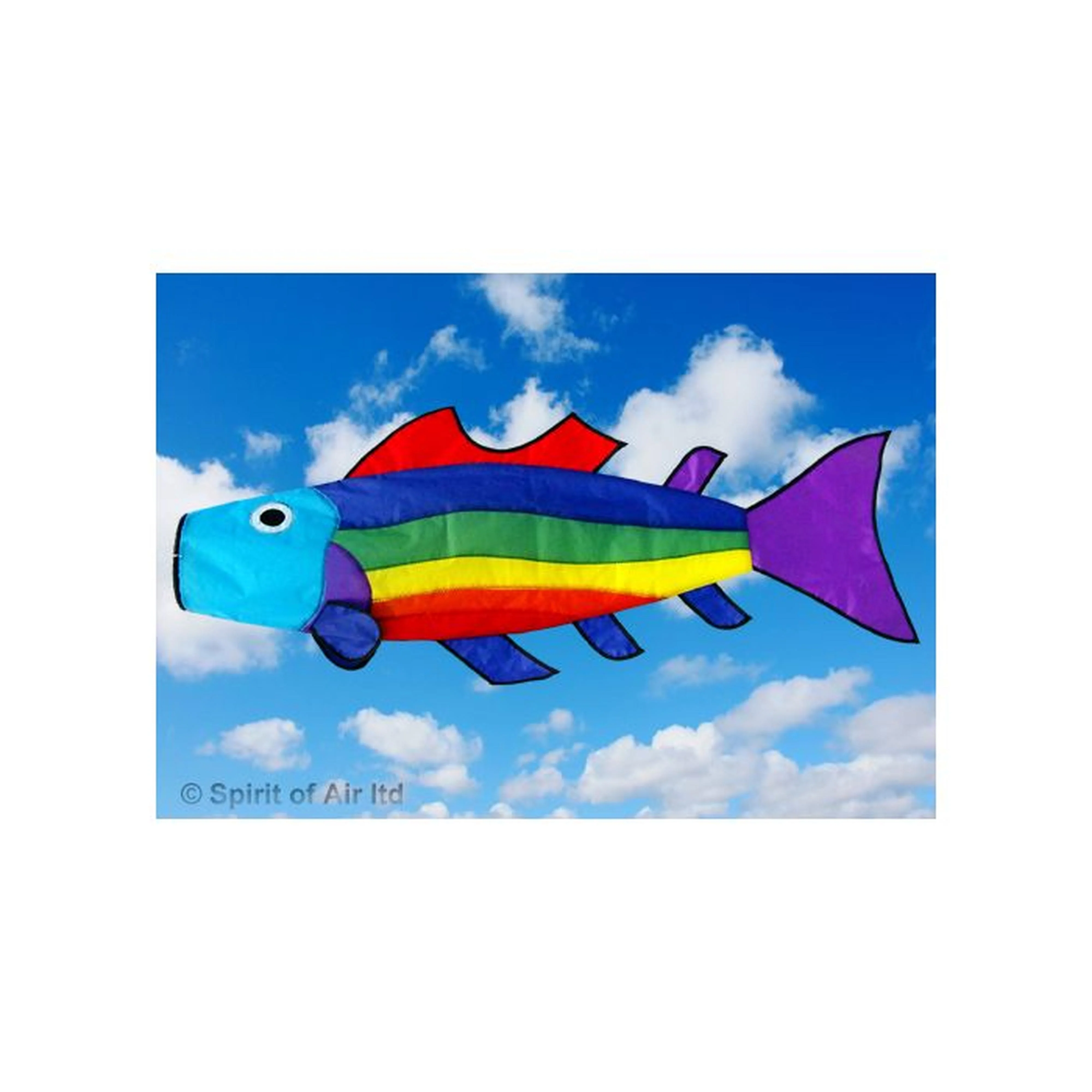 Spirit of Air Rainbow Fish Windsock