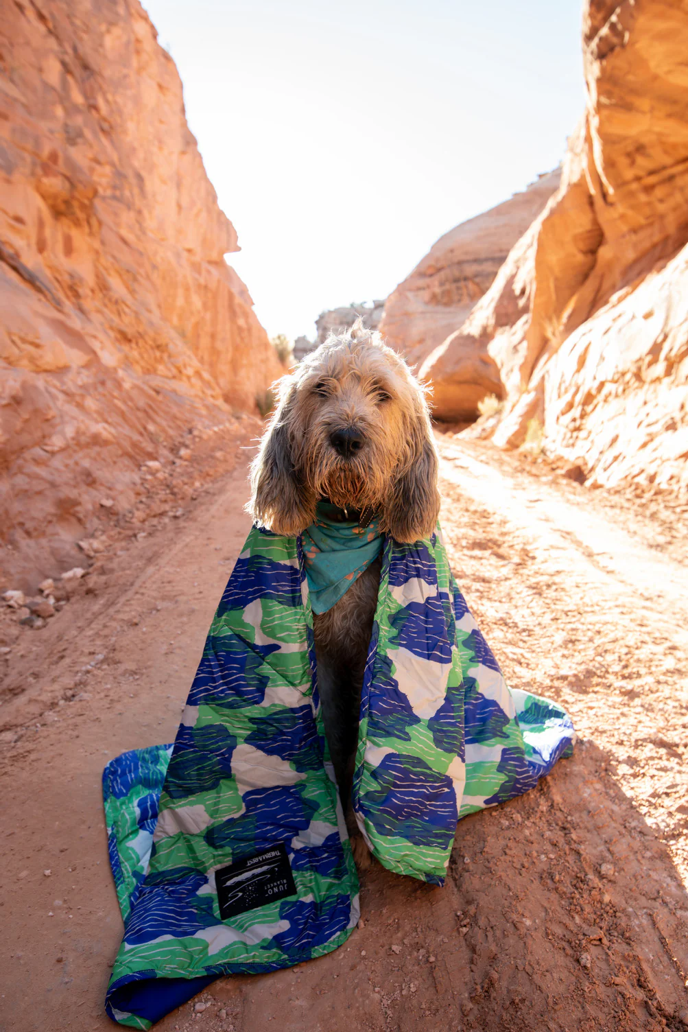 Thermarest Juno Blanket Tide Pool - Image 5