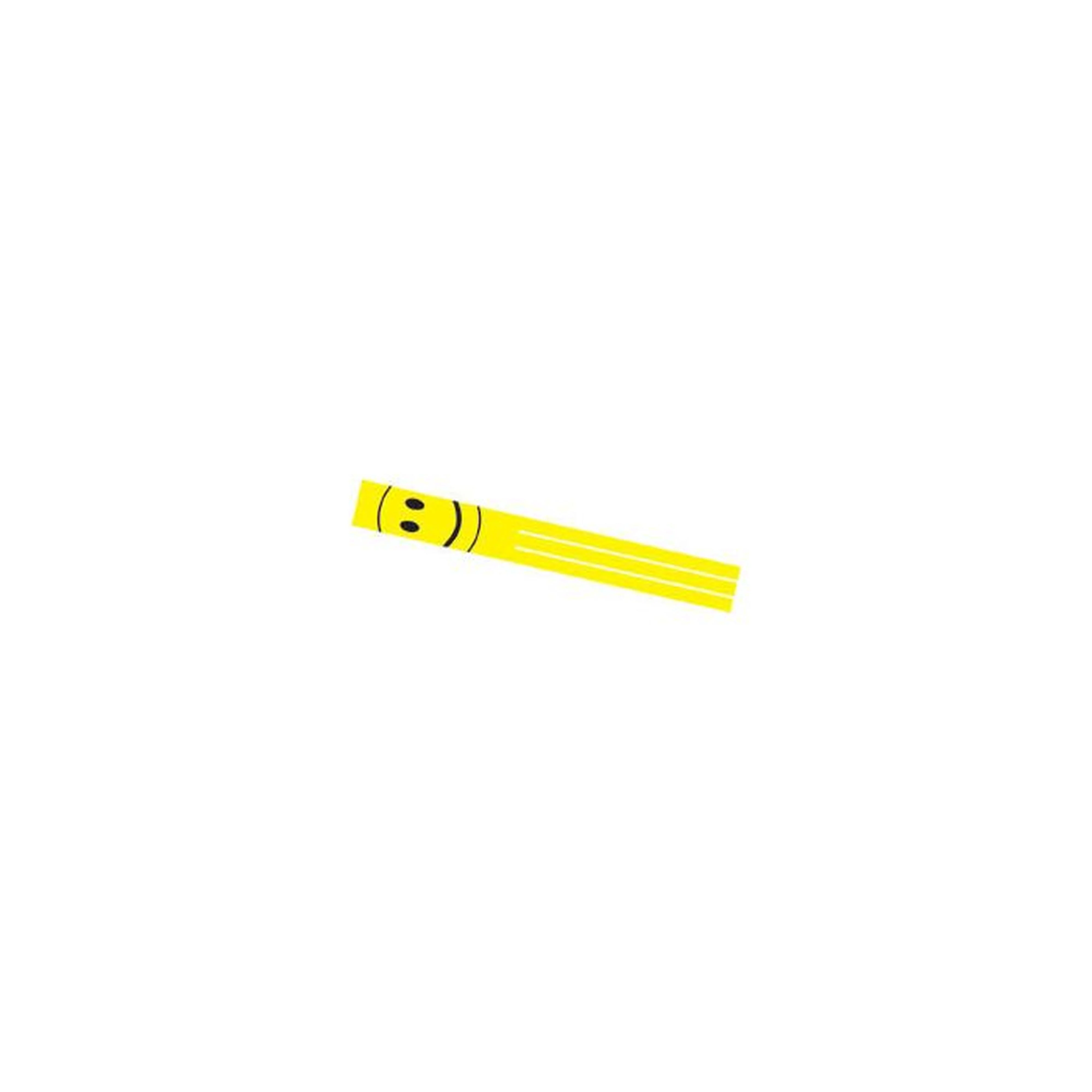 Spirit of Air Flag Windsock Happy Face